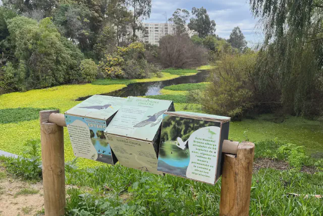 Señalética en el humedal agua salada